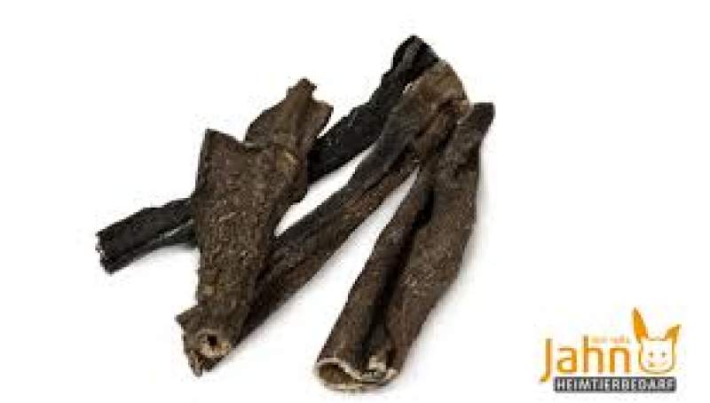 Rinderpansen